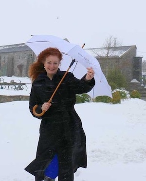 Fidelma braving Storm Emma, to sing at a wedding in Ballymagarvey House 2018